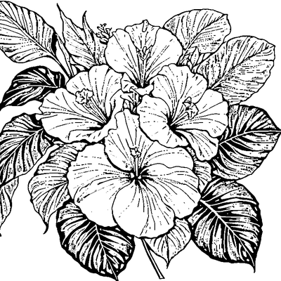 Tropical Leaf With Hibiscus Flower coloring page variation 5