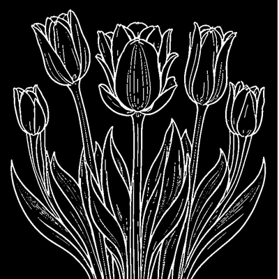 Tulip Pattern Repeated coloring page design 1