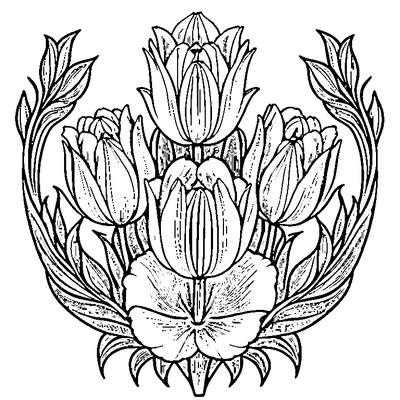 Tulip Pattern Repeated coloring page design 2