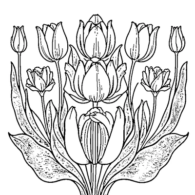 Tulip Pattern Repeated coloring page design 3