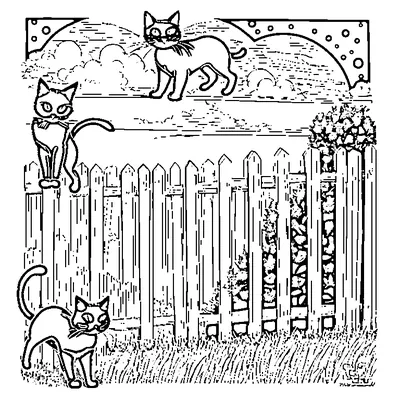 two black cats on a fence at night coloring pages