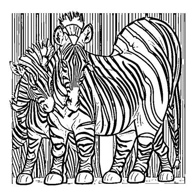zebra stripe pattern coloring pages