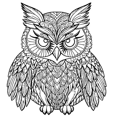 zentangle owl coloring pages